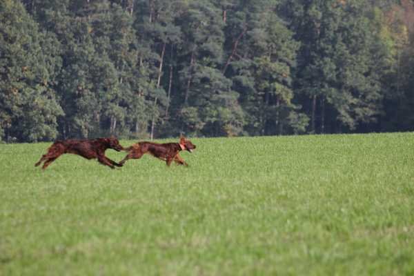 Prüfung Herbst 2016 Hilpoltstein